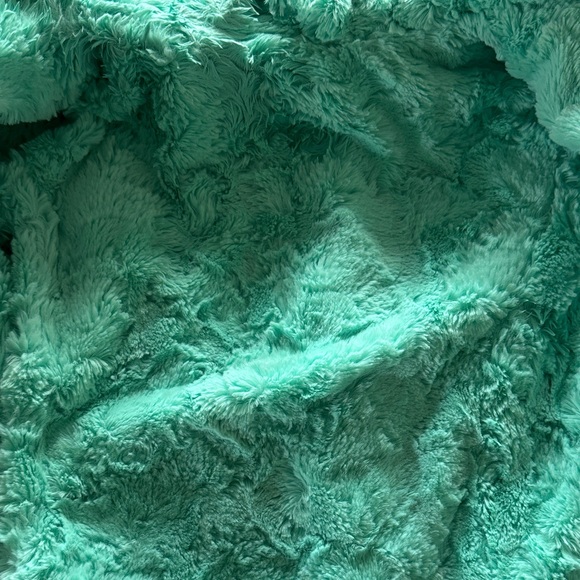 The North Face Kids Blue and Green Puffer Jacket - Picture 3 of 3